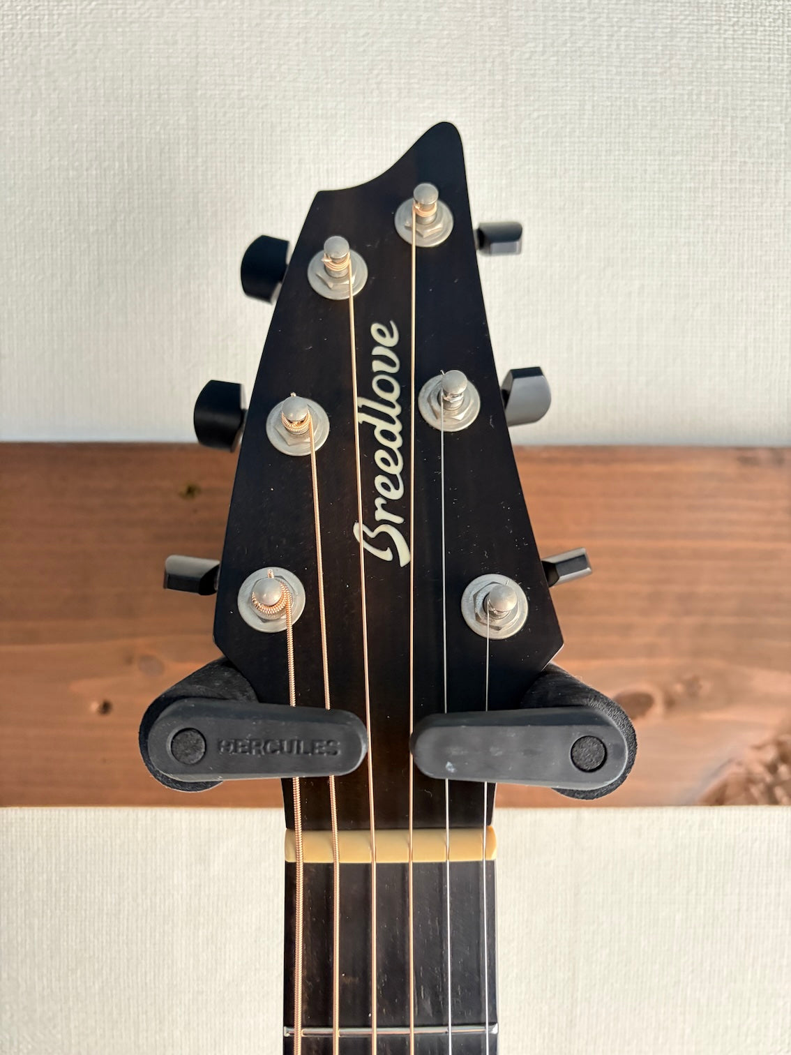 Breedlove Premier Concert 22CE 2017 – auldguitars