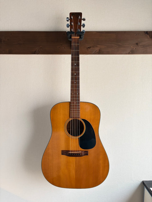 Martin D-18 1980