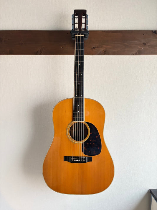 Martin D-35S 1979