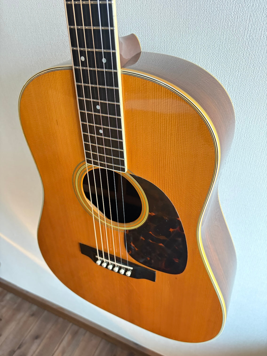 Martin D-35S 1979