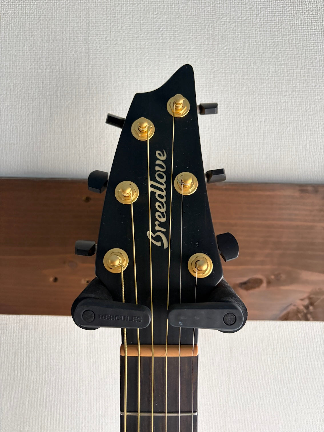 Breedlove  Oregon Concert Bourbon C66E 2017