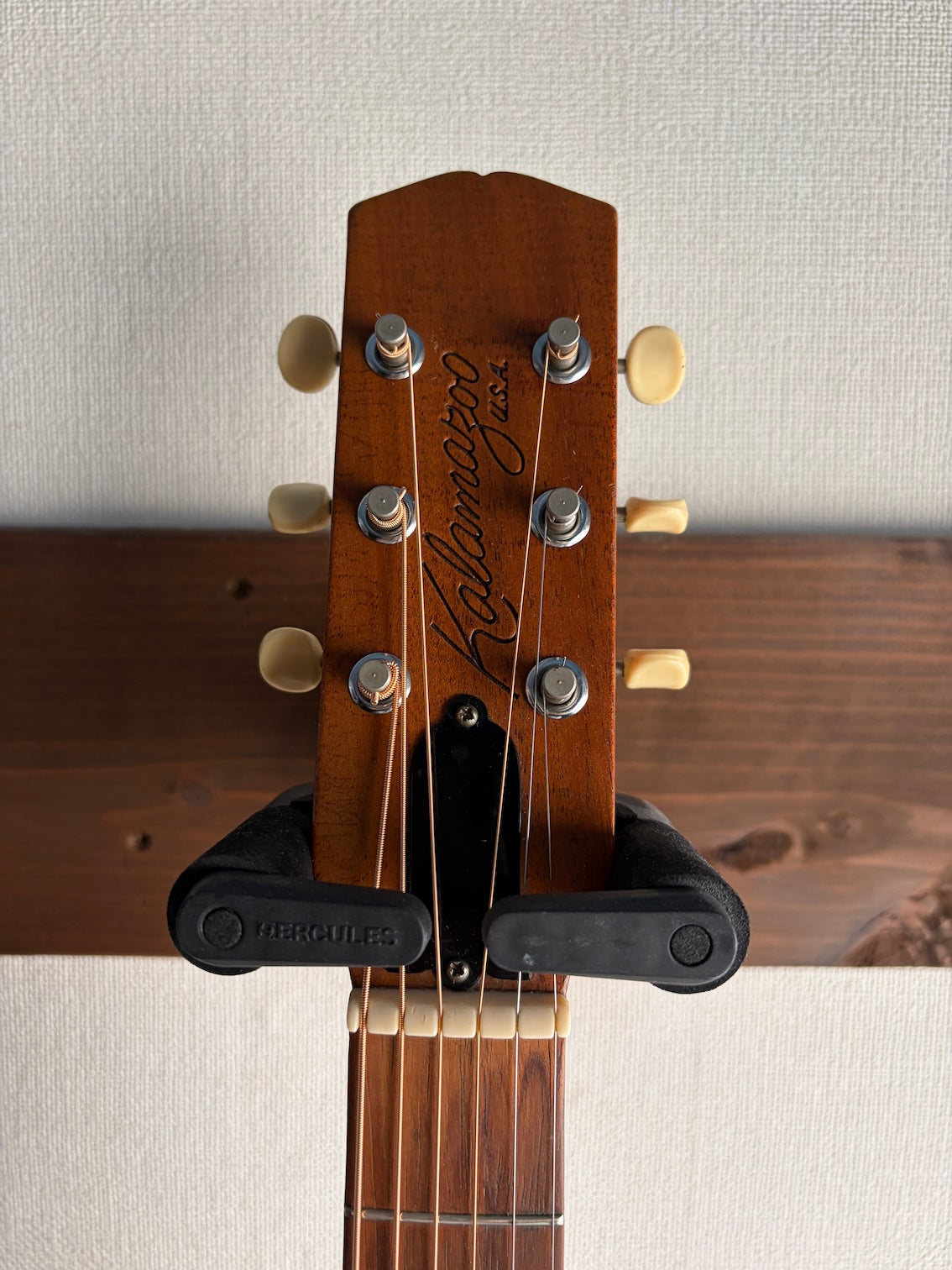 Kalamazoo KG-10 1968