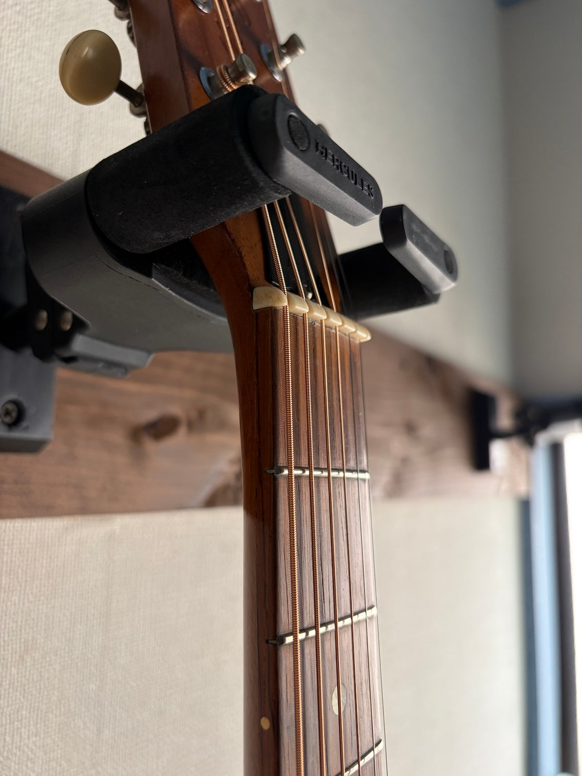 Kalamazoo KG-10 1968