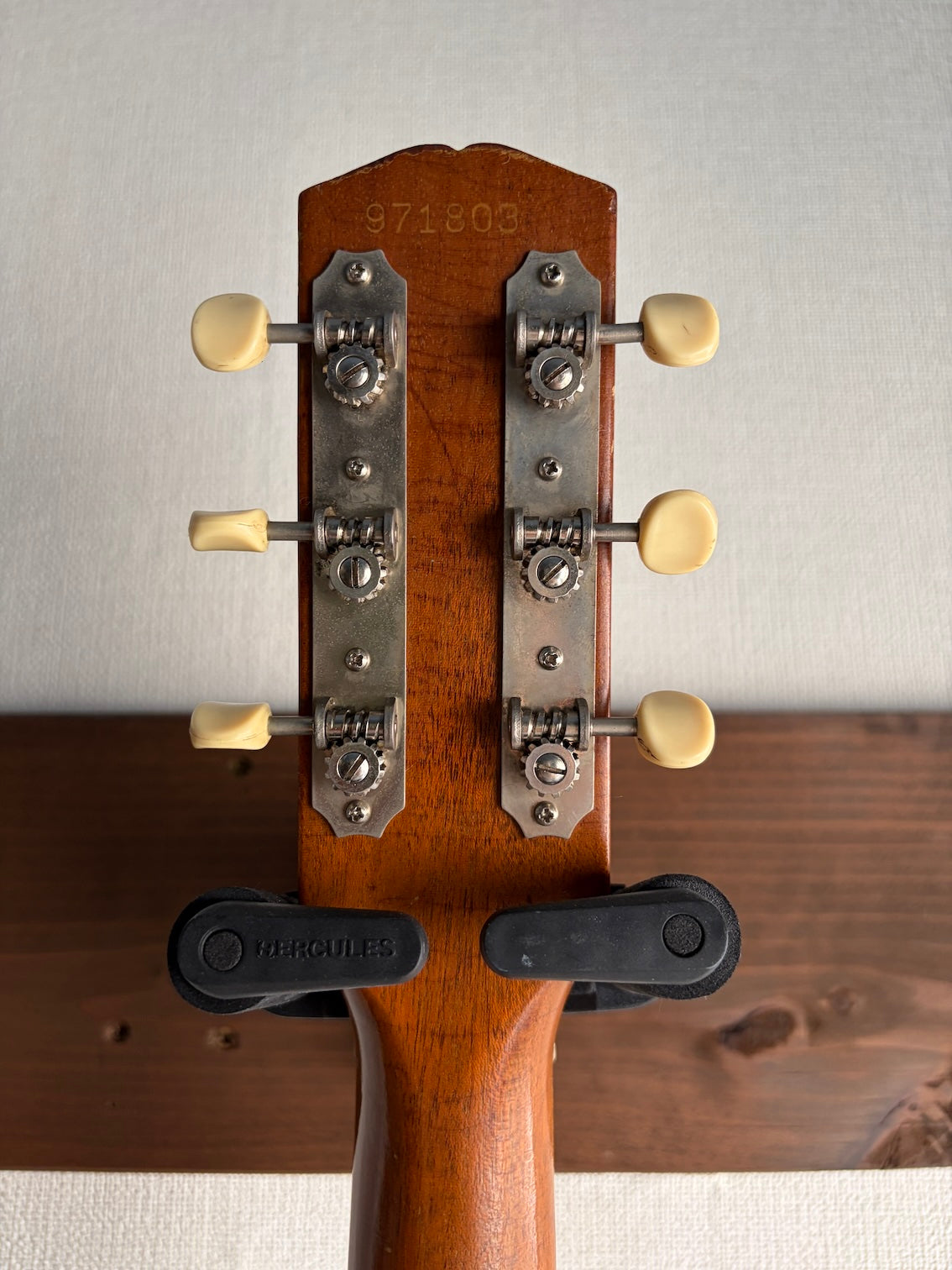 Kalamazoo KG-10 1968