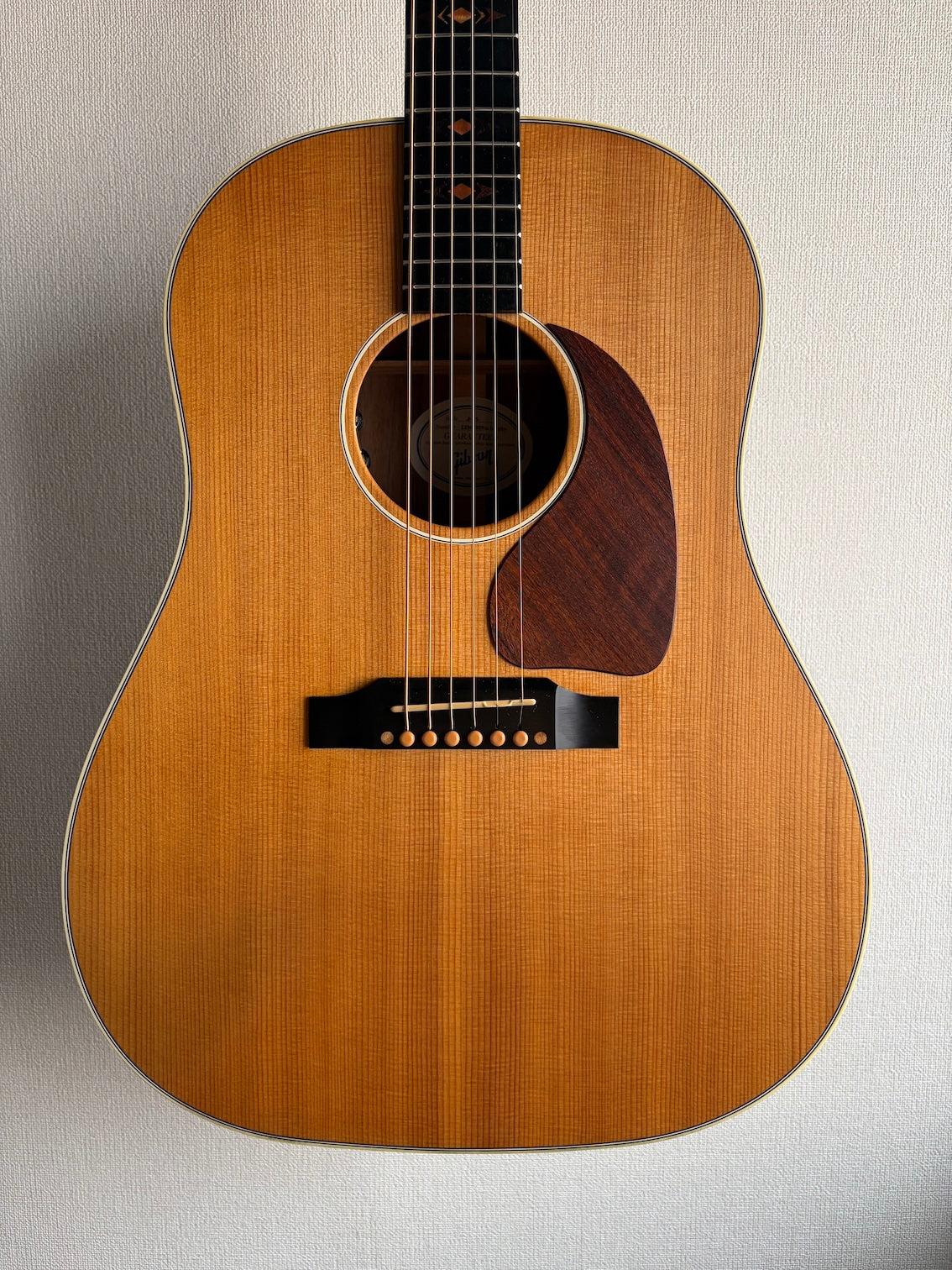 Gibson J-45 Sustainable 2019