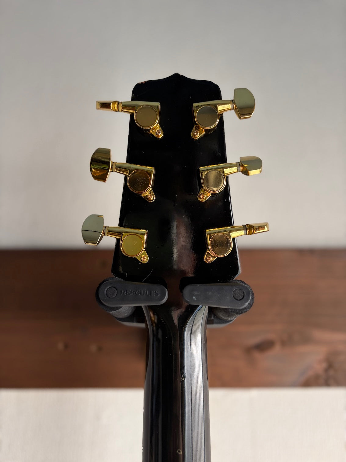 Takamine PT-105 1980's