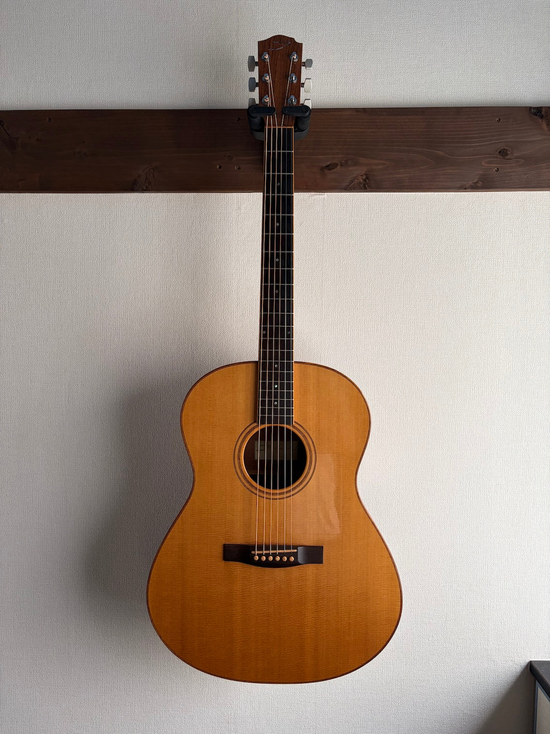 Thompson TM1 2005