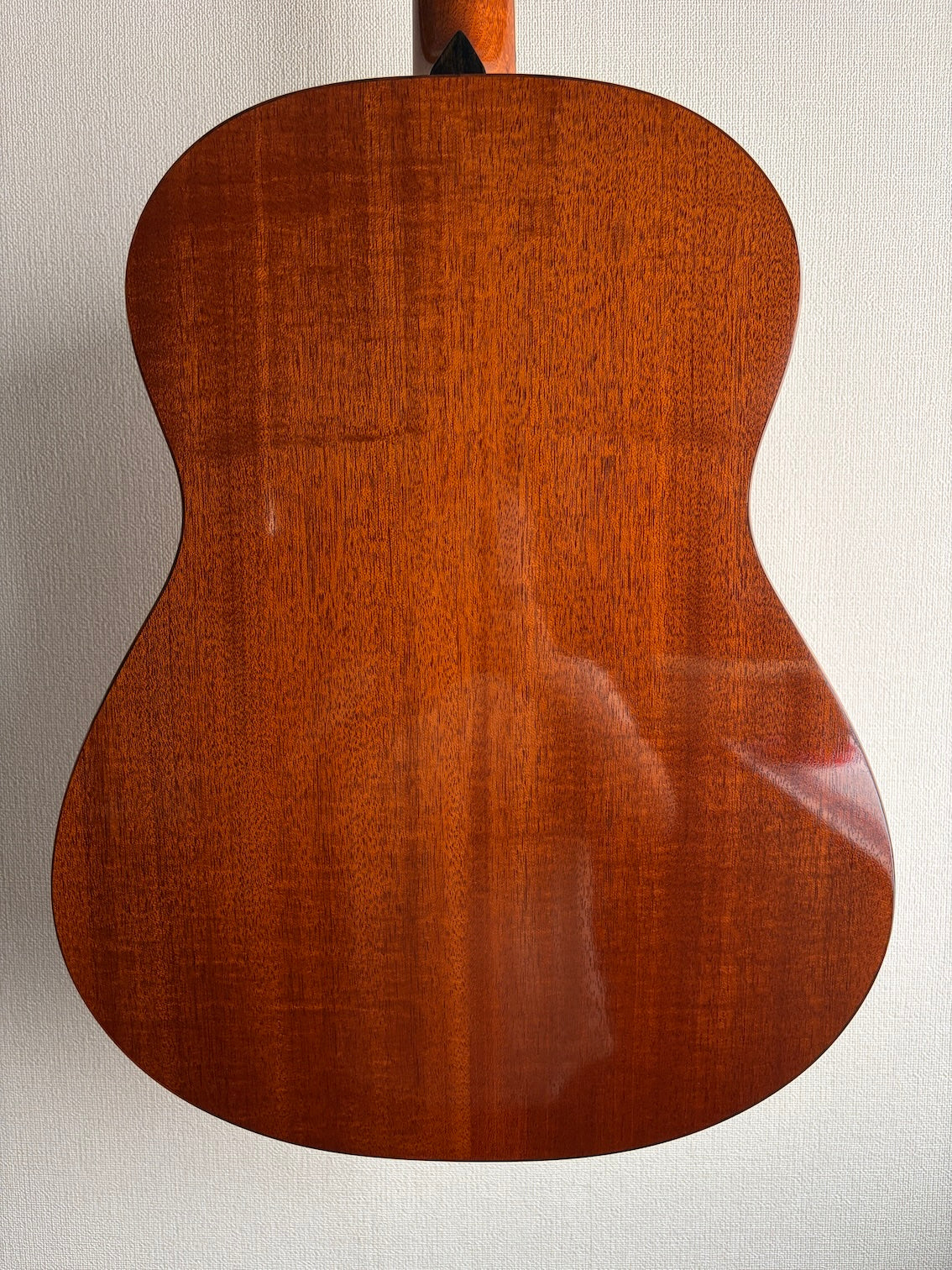Thompson TM1 2005