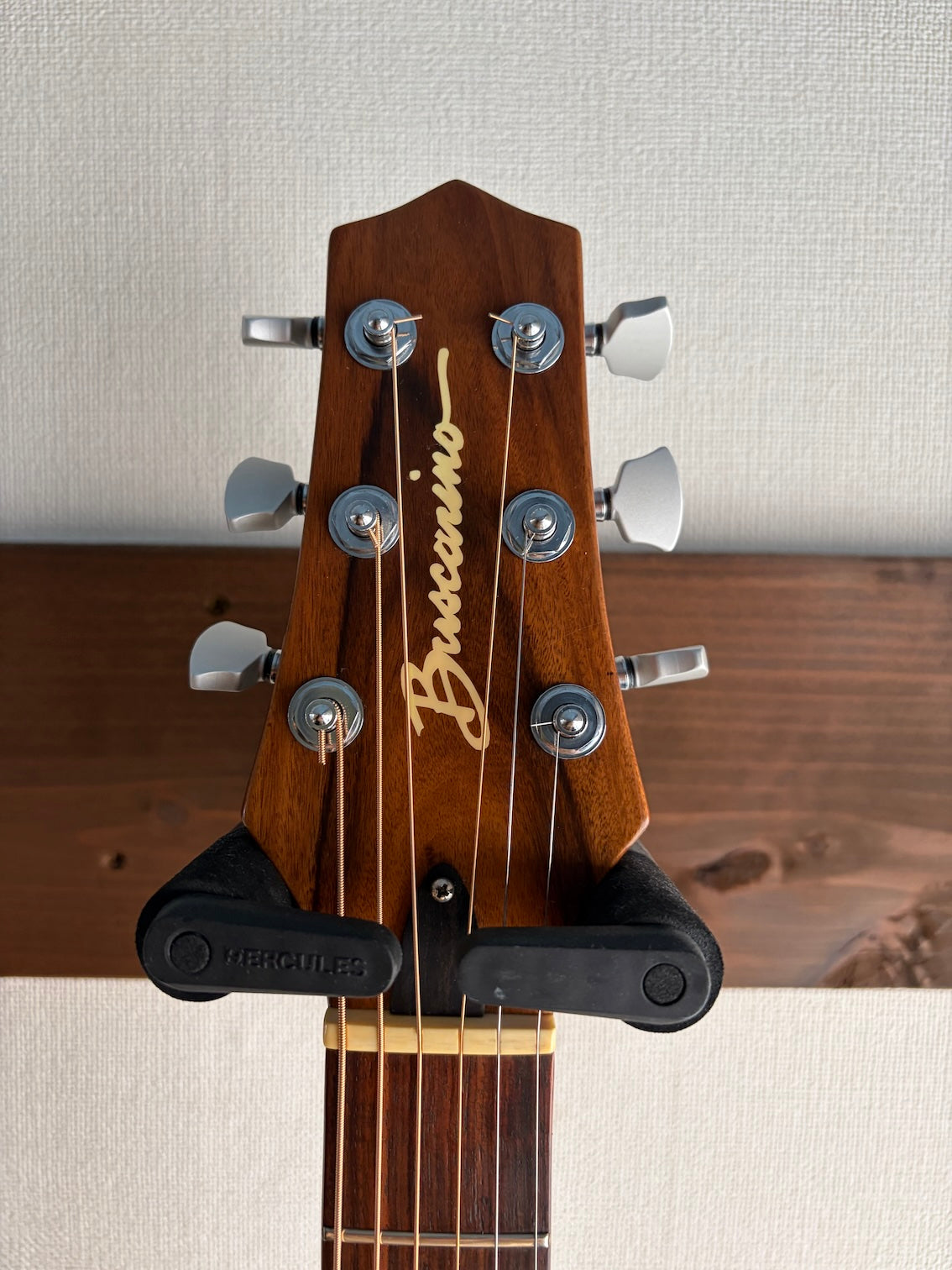 Buscarino Starlight Steel String 1993