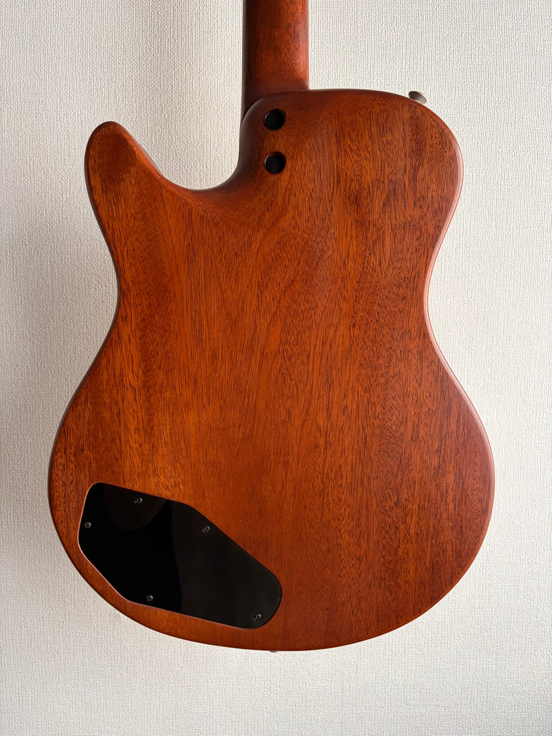 Buscarino Starlight Steel String 1993