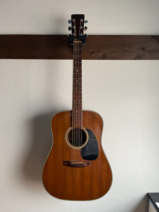 Martin D19 1977