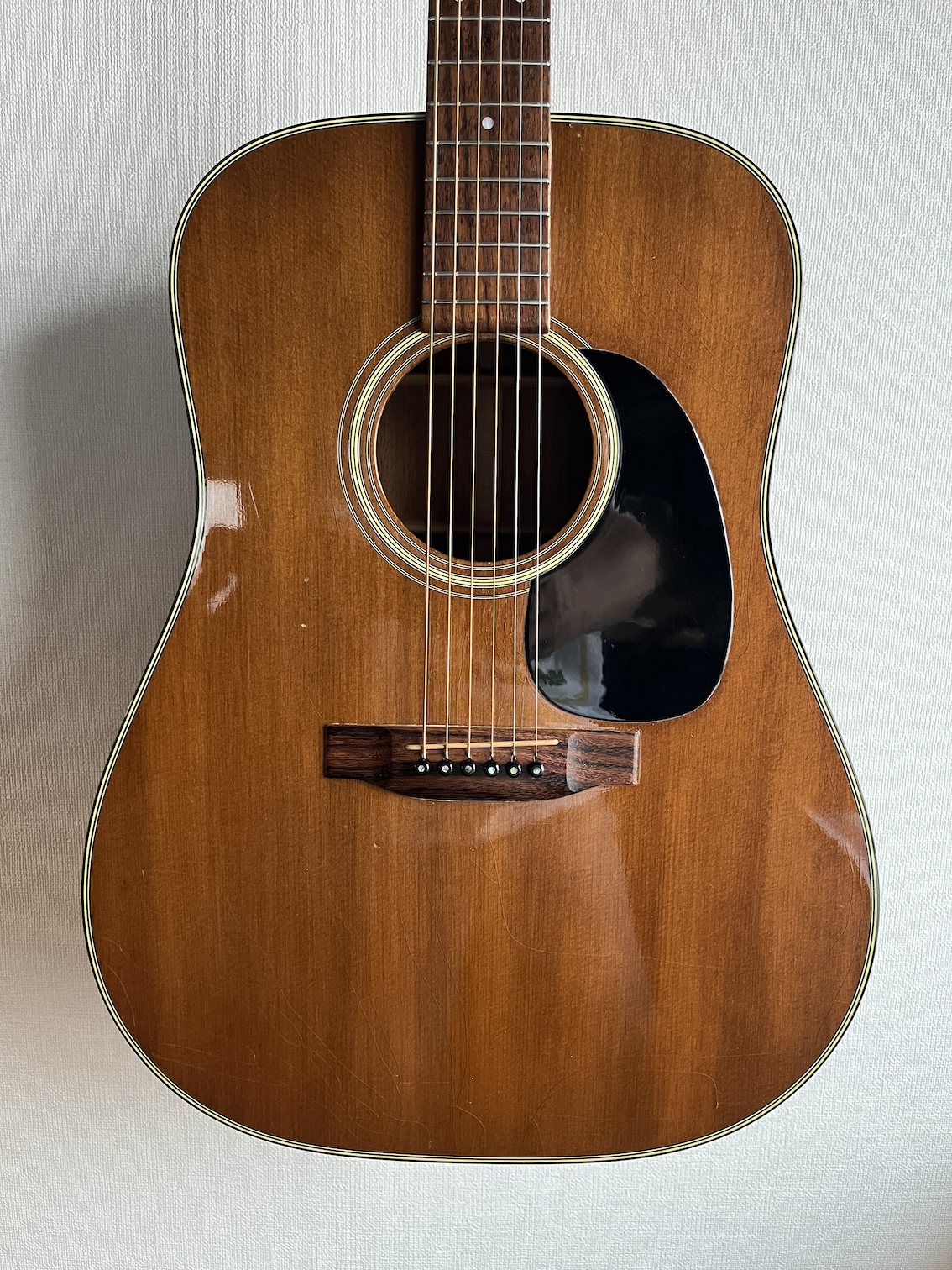 Martin D19 1977