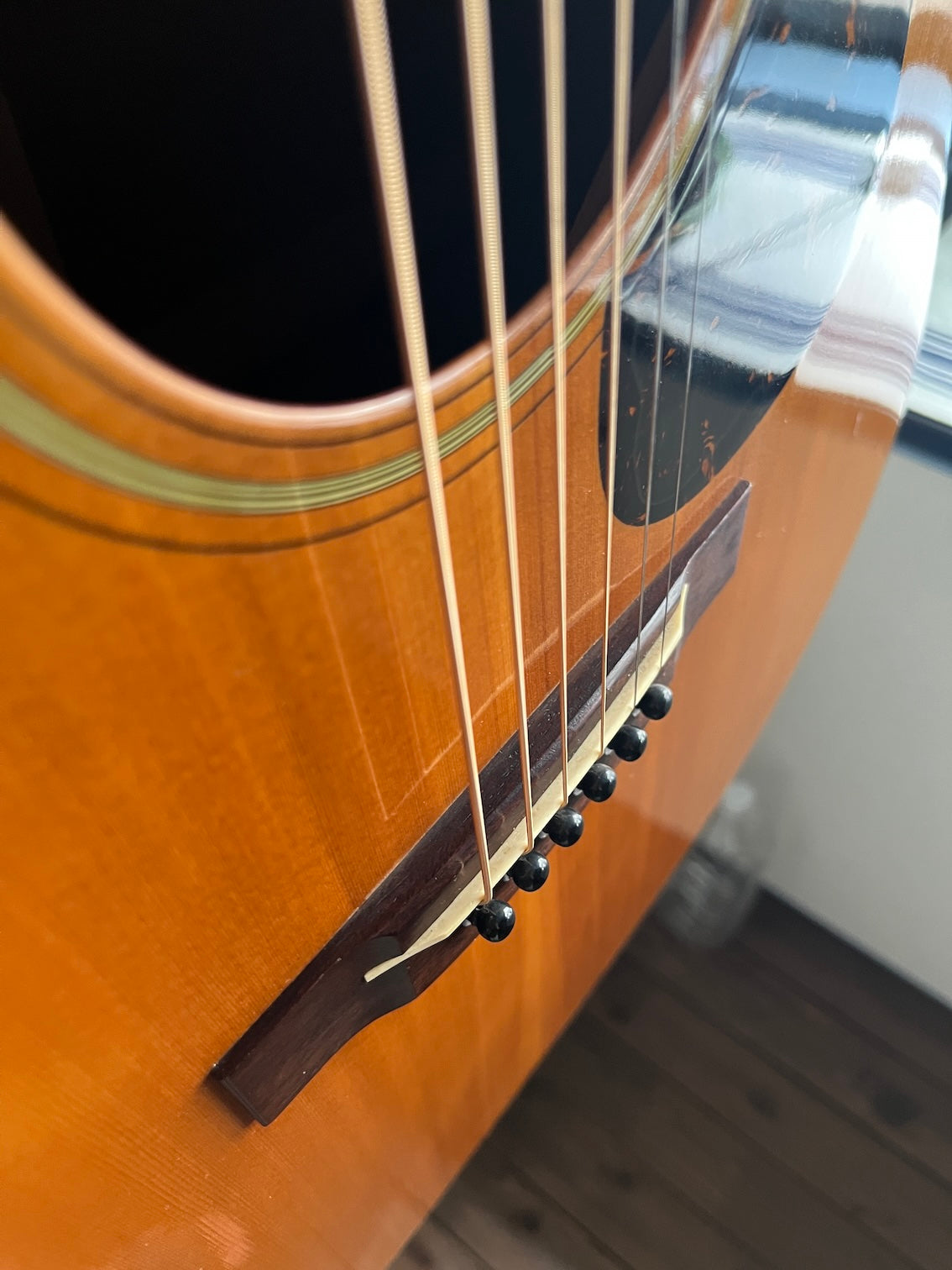 Tokai Cat's Eyes CE800S 1980's – auldguitars