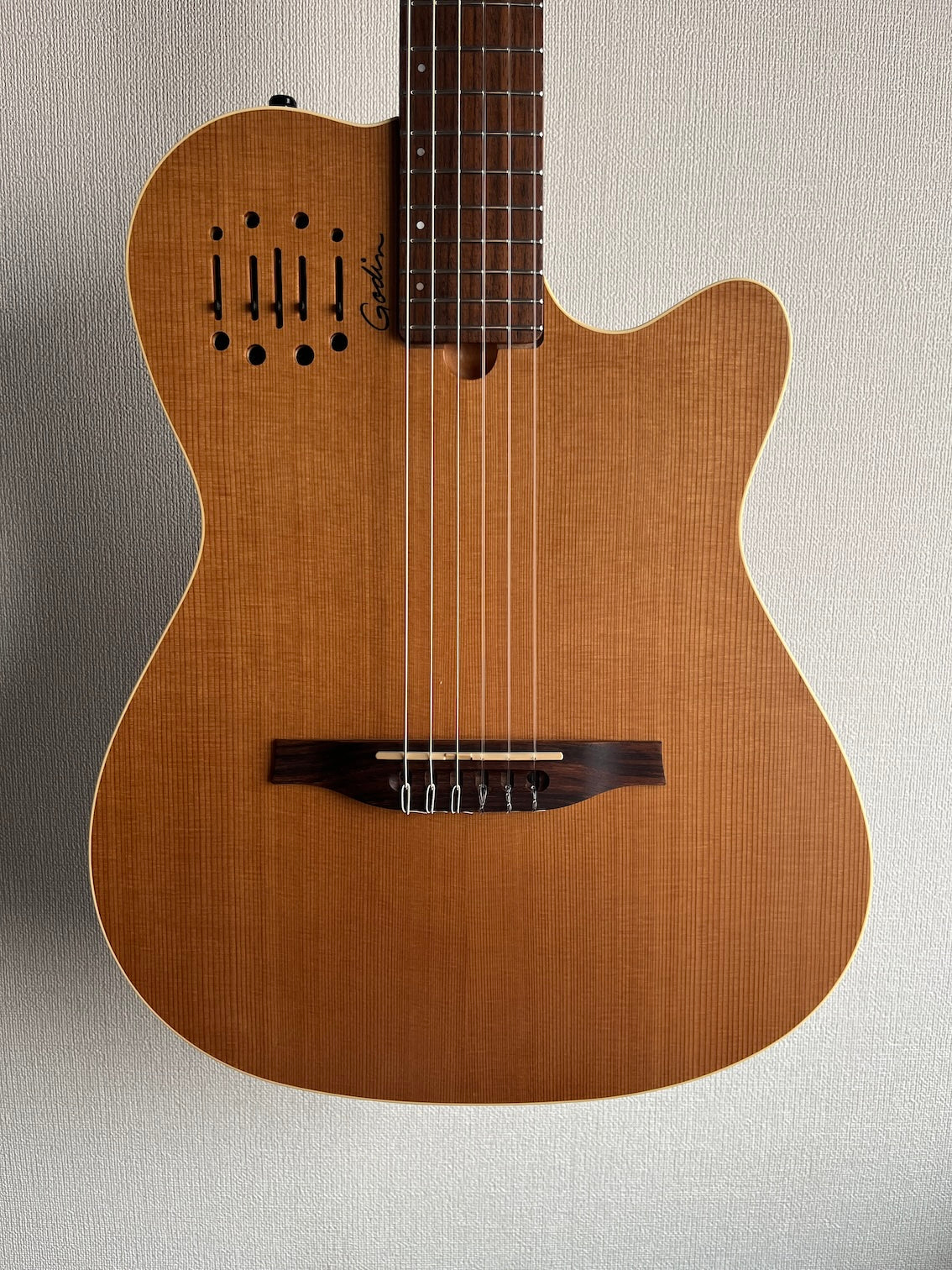 Godin Multiac Nylon Encore 2012