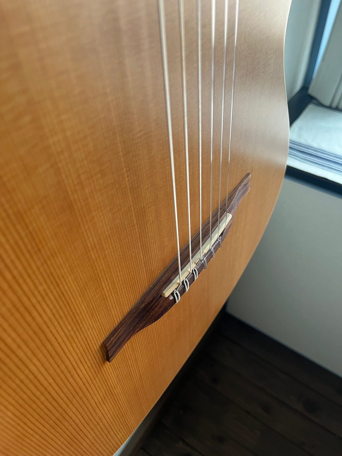 Godin Multiac Nylon Encore 2012