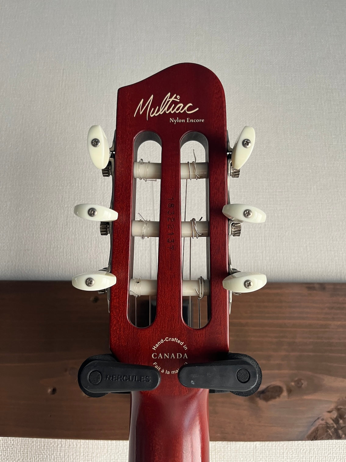 Godin Multiac Nylon Encore 2012