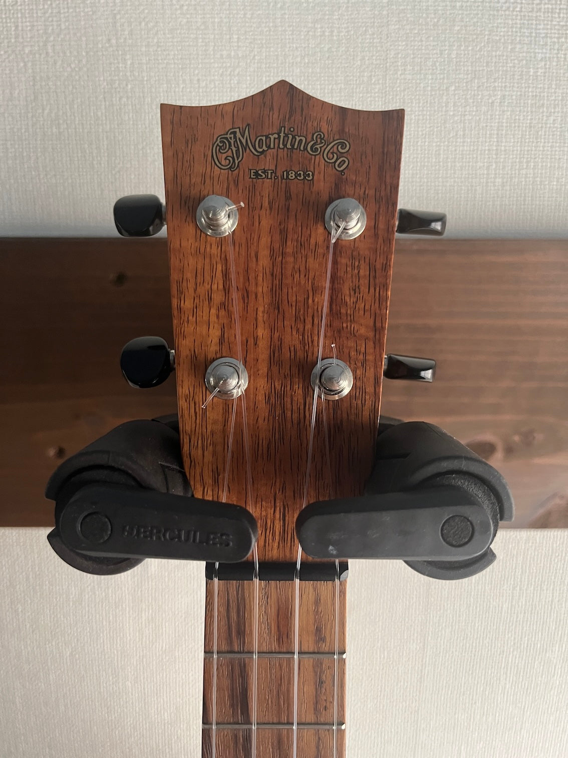 Martin 2K Concert 2019