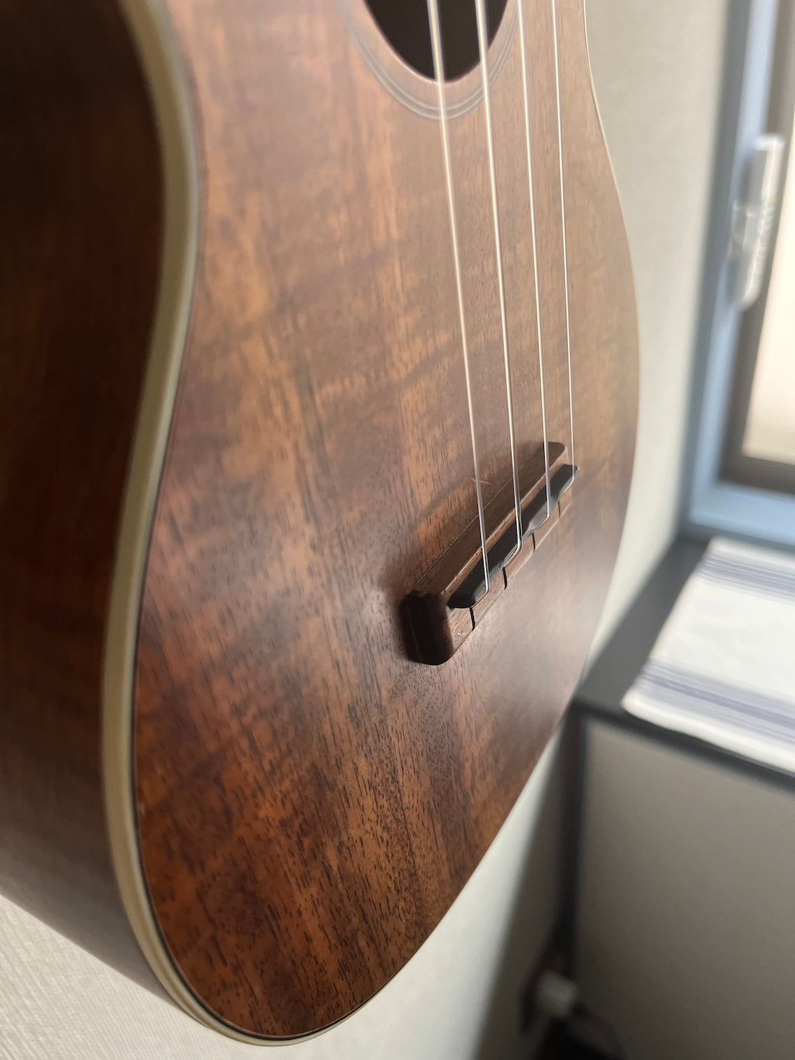 Martin 2K Concert 2019