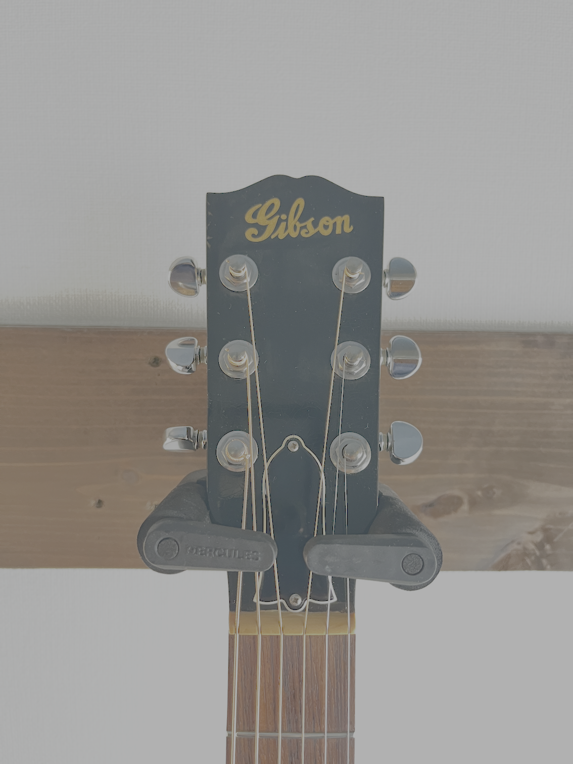 Gibson Blues King 2010