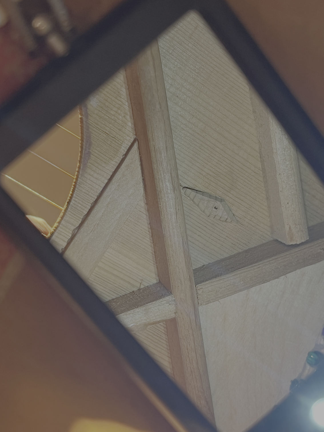 Gibson Gospel 1973-75