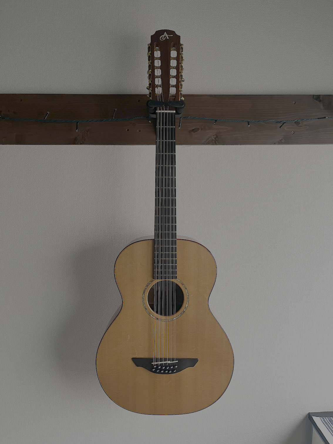 Avalon S-12 12strings Custom 2005