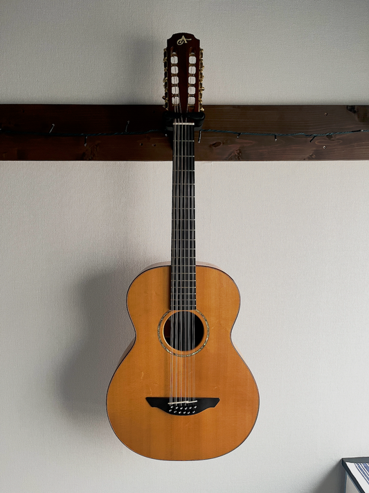 Avalon S-12 12strings Custom 2005