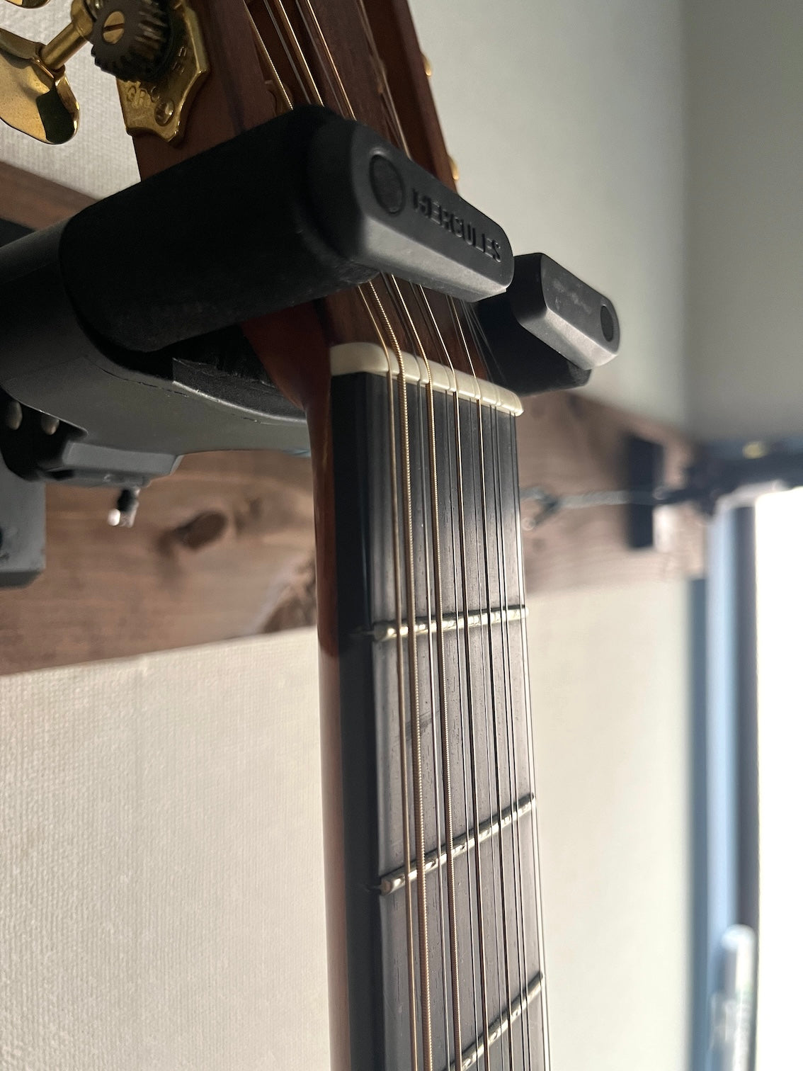 Avalon S-12 12strings Custom 2005