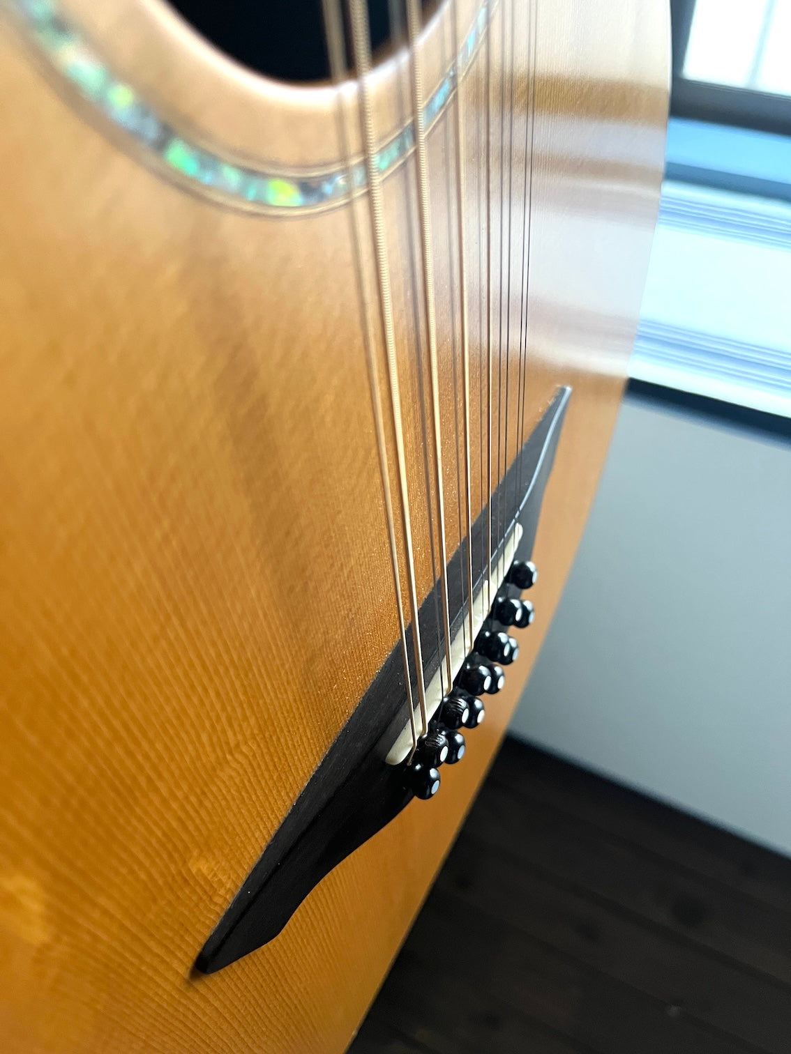 Avalon S-12 12strings Custom 2005