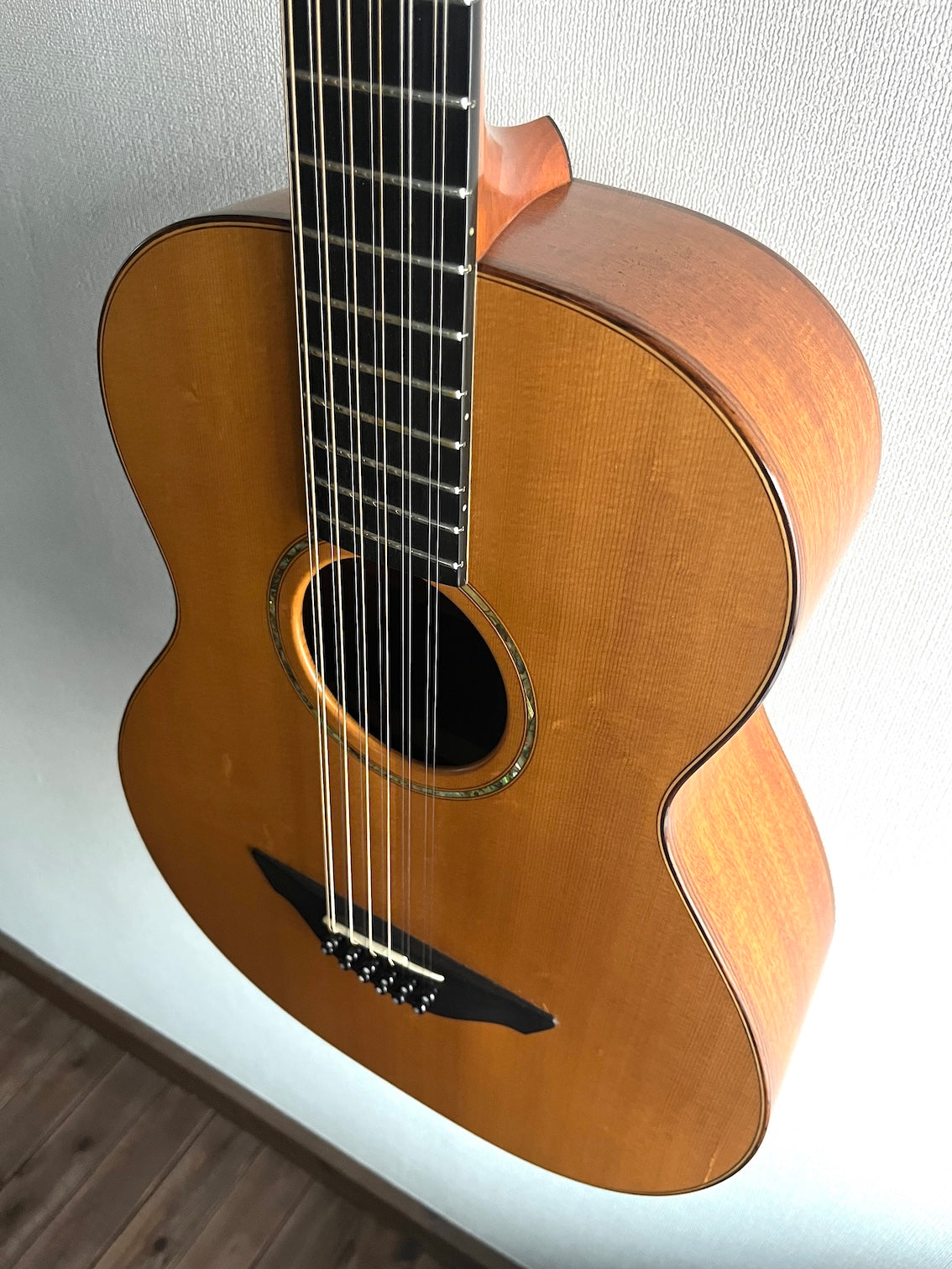 Avalon S-12 12strings Custom 2005