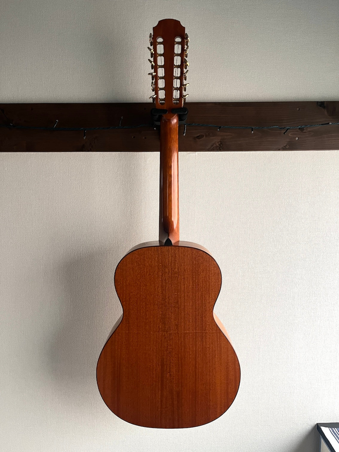 Avalon S-12 12strings Custom 2005