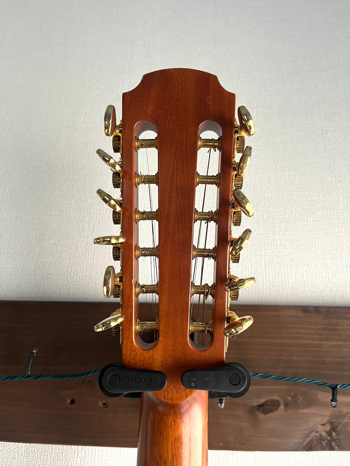 Avalon S-12 12strings Custom 2005