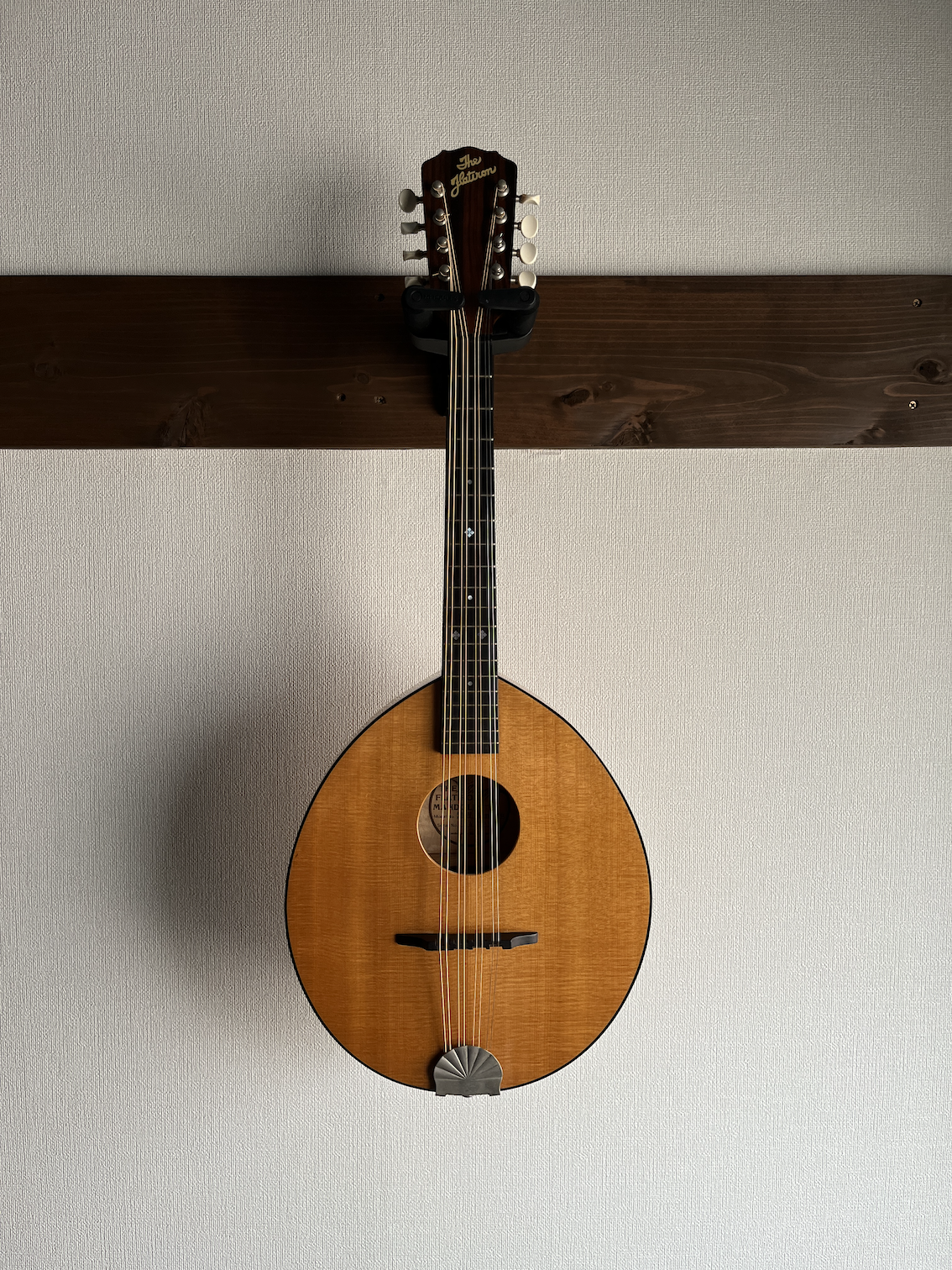 Flatiron Mandola mandolin マンドラ マンドリン属 - 弦楽器