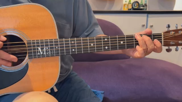 Martin Custom D-28 2009 – auldguitars