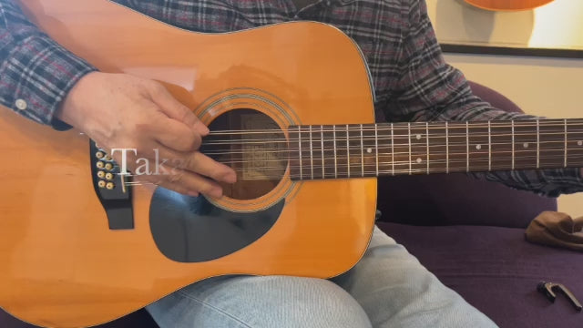 Takamine EG335 12strings 1990 – auldguitars