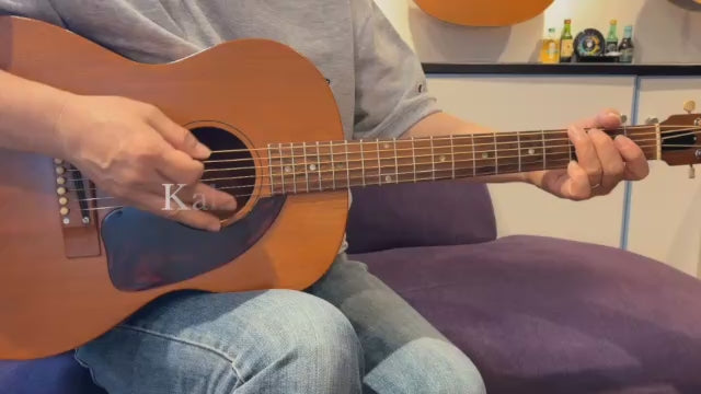 Kalamazoo KG-10 1968 – auldguitars