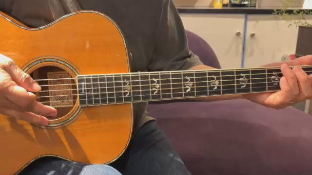 Larrivee OM-10 1994 – auldguitars