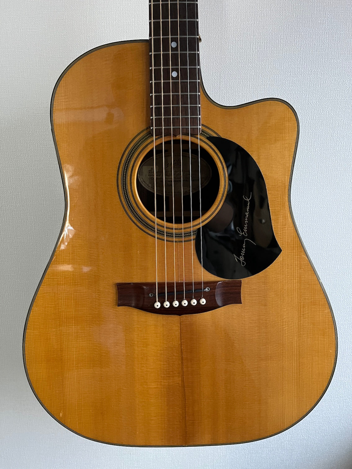 Maton TE1 Artist 2009